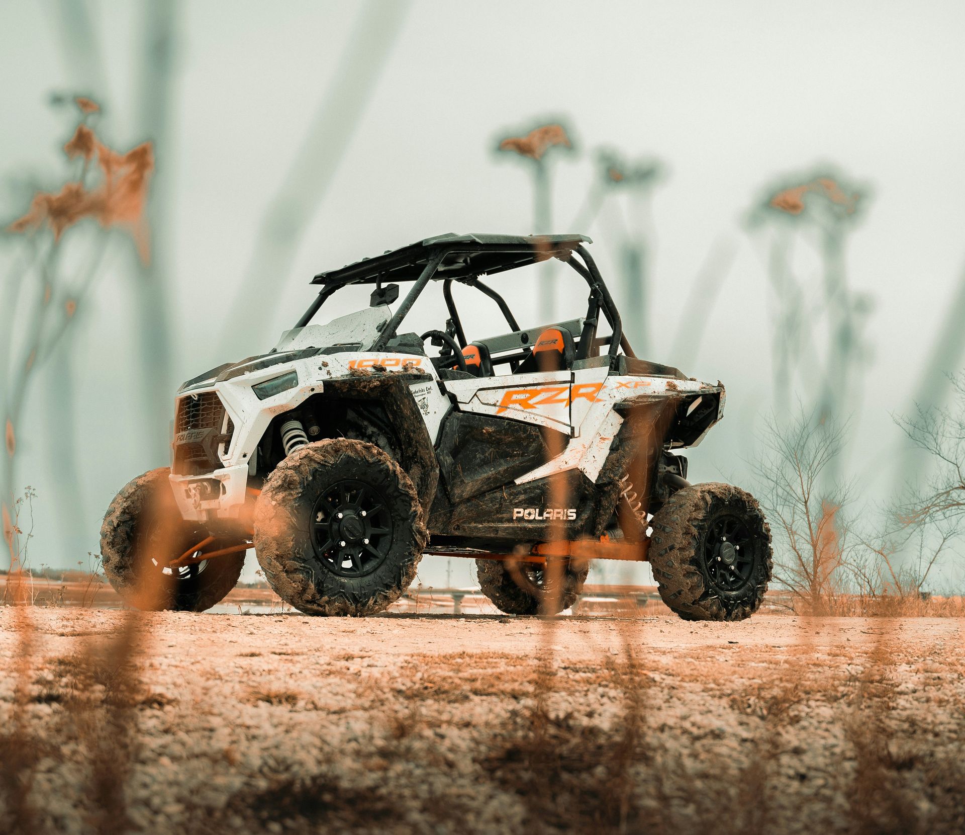 Polaris RZR